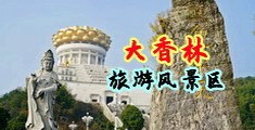 淫荡的大鸡巴销售中国浙江-绍兴大香林旅游风景区